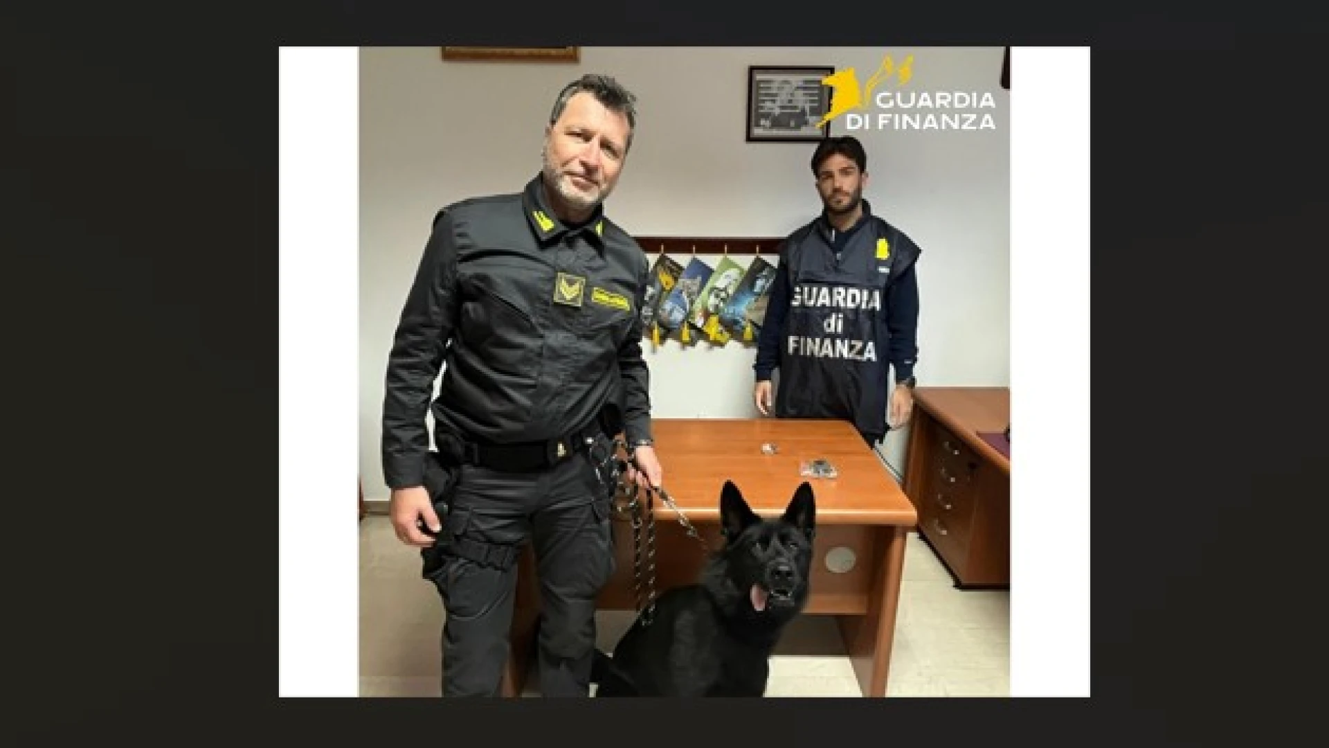 Guardia di Finanza Campobasso: intensificata l’attività di contrasto al traffico e allo spaccio di sostanze stupefacenti nelle adiacenze della stazione di Termoli.
